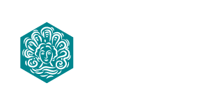 cropped-logo-4.png